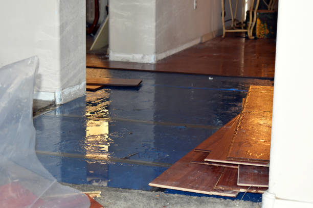 Professional Burst Pipe Cleanup technician working in Weldon, NC